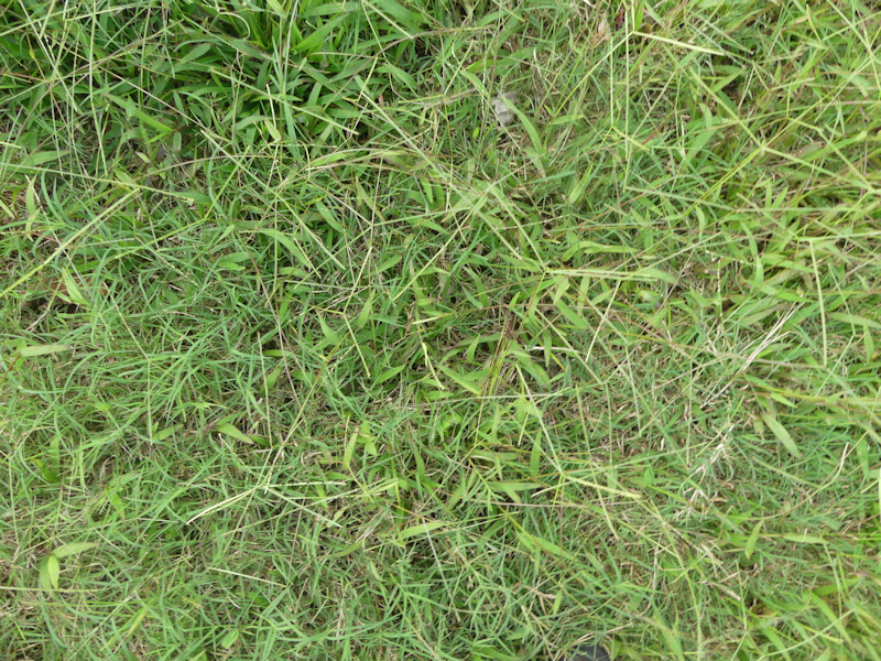 Bil&oacute;k