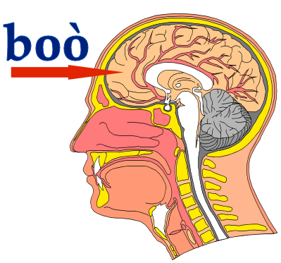 Bo&ograve;