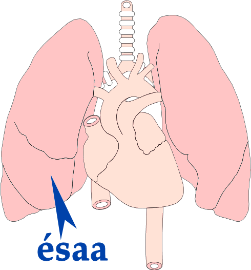 &Eacute;saa