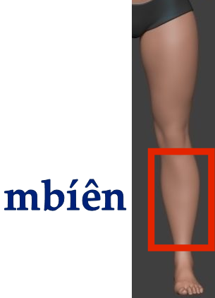 Mb&iacute;&ecirc;n